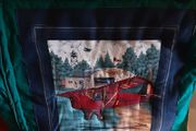 Nice unusual cushion come blanket