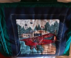 Nice unusual cushion come blanket