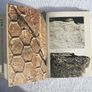 THE WORLD OF FOSSILS (Vittorio de Zanche & Paolo Mietto) - a Sampson Low Guides hardback book (1979) Image 7