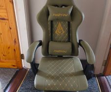 Sage green gaming chair
