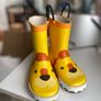 wellies Image 2