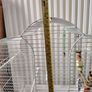 Parrot cage Image 3