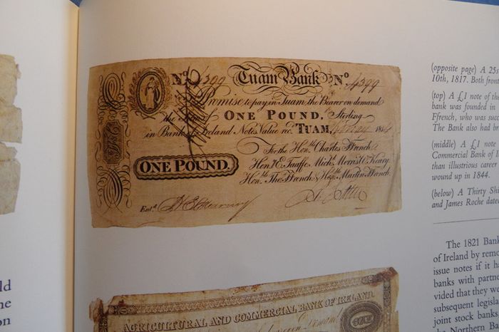 Old Hard Back Book Root And Branch Allied Irish Bank, Yesterday, Today, Tomorrow, Published In 1979  In Perfect Condition !