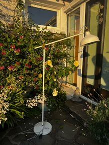 Standing Lamp