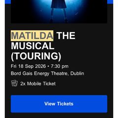 2 tickets Matilda the musical with family variety pack