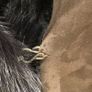 Andrew Mark Shearling Lamb Suede Coat Image 5