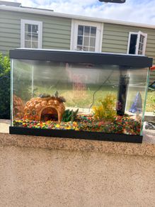 Fish Tank