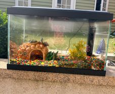 Fish Tank