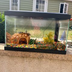 Fish Tank