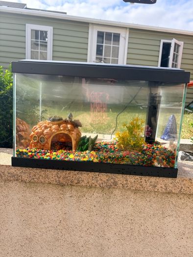 Fish Tank