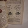 The Book of the Morris Ten - 1933-1948 Models (Hardcover) Image 6