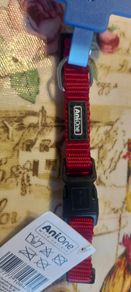 dog collars new