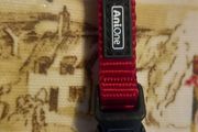 dog collars new
