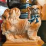 Staffordshire Pekingese mantle dog Image 5