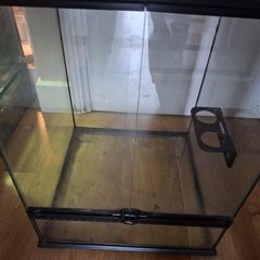 2 exo terra tanks