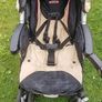 buggy Image 8