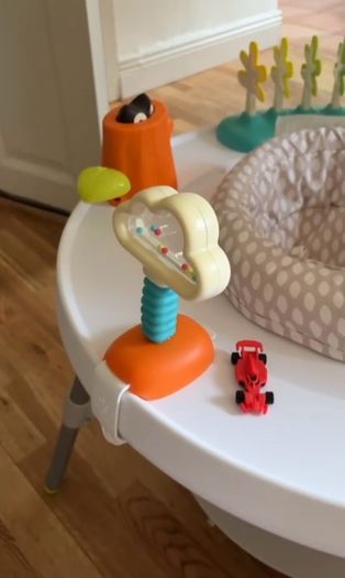 Skip Hop Activity Center