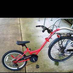 Weeride bike