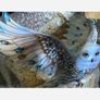Snowy Owl Hedwig From Harry Potter - nice gift Image 2