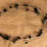 Jewellery -various necklace styles Image 3