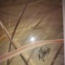 Antique Painting By K.j.woods Priced For Quick Sale Image 3
