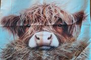 Highland Cow cushion cover