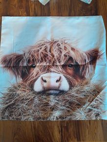 Highland Cow cushion cover