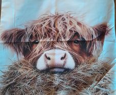 Highland Cow cushion cover