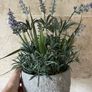 Artificial Lavender Plant Image 2