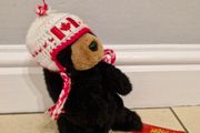 Canada teddy bear