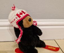 Canada teddy bear