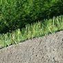 Artificial grass Image 4