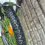 bike 24 inch Image 3