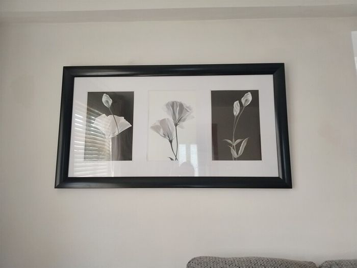 Two Black and White decorative wall picture