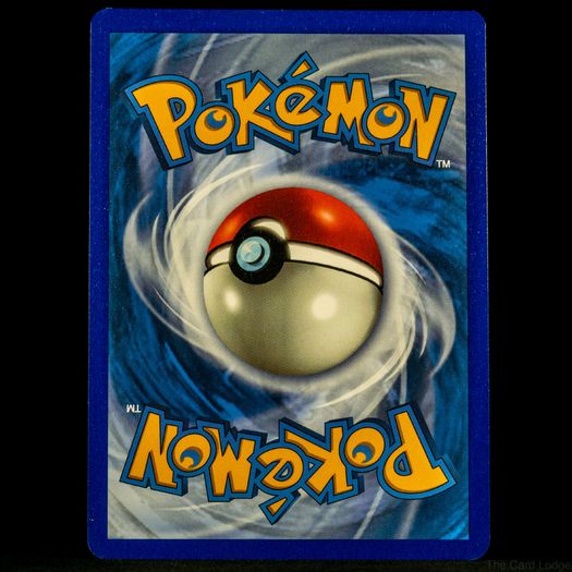 Eldegoss SV011/SV122 Baby Shiny Vault Holo Rare Shining Fates Sword Shield Pokemon Card