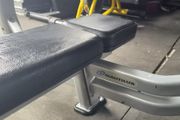 Two commercial flat benches nautilus brand
