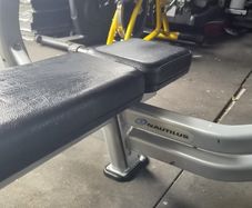 Two commercial flat benches nautilus brand