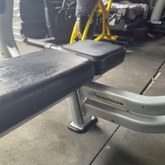 Two commercial flat benches nautilus brand