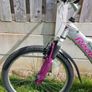 Bike -Adult bicycle Image 5