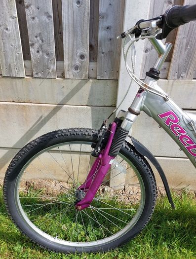 Bike -Adult bicycle