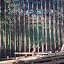 gates Image 3