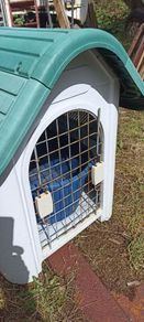 Small Dog Kennel and Bed