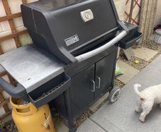bbq