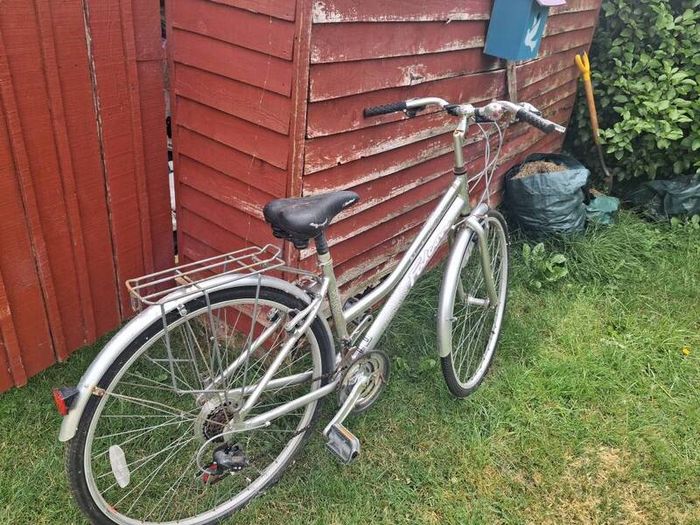 ladies bike