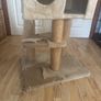 cat tree Image 4
