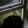 Voigtlander Nokton 35mm 1.2 + optional Metabones RF adapter Image 8