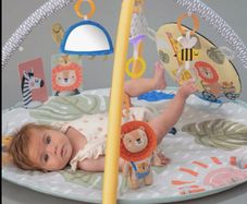 Baby Play Gym