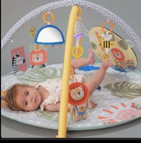 Baby Play Gym