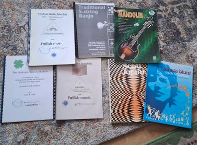 Guitar guides