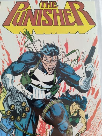 The Punisher  Issue 17 CBCS / CGC 9.8  Certified Graded Comic Framed  DC Marvel